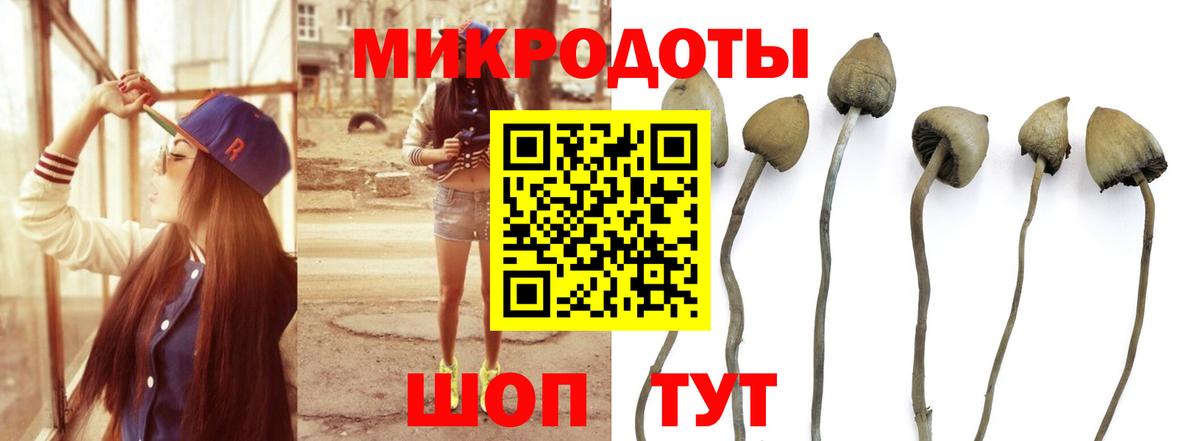 Псилоцибиновые грибы Magic Shrooms  магазин продажи   Галлюциногенные грибы мухоморы  Мичуринск  Вход с VPN 